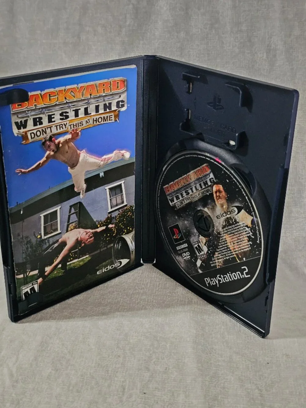 Backyard Wrestling Don't Try This at Home PS2 (Sony PlayStation 2, 2003)